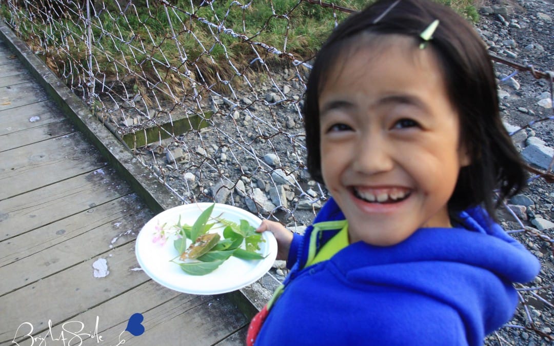 2016 5/29  嚮光協會「自然.藝術.台東」Nature + Art (Taitung)