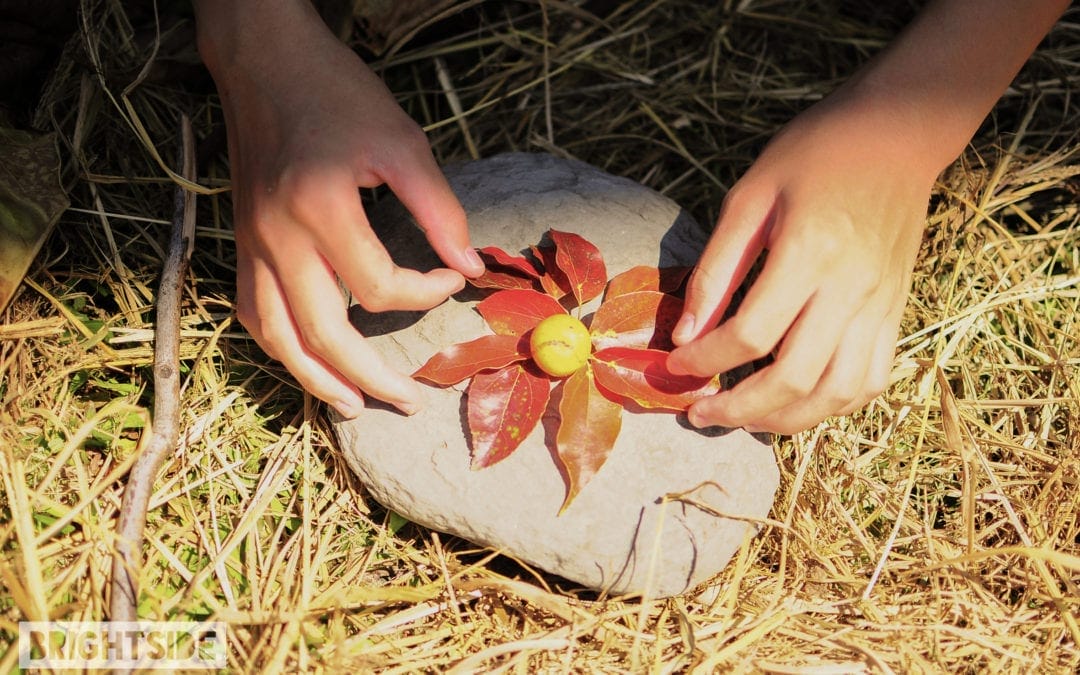 Project Wrap Up – 2016 5/29 嚮光協會「自然．藝術．台東」Nature + Art