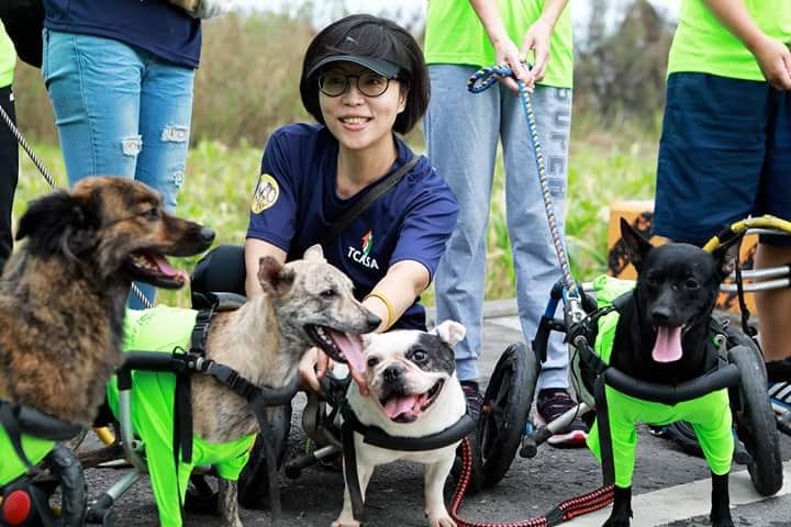 Helping Hands – 犬山居/台灣同伴動物扶助協會tcasa