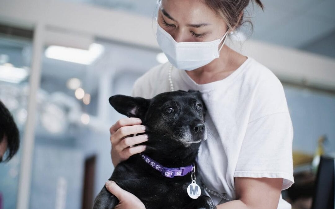 Helping Hands –社團法人台灣瑪莉愛狗協會 Mary’s Doggies