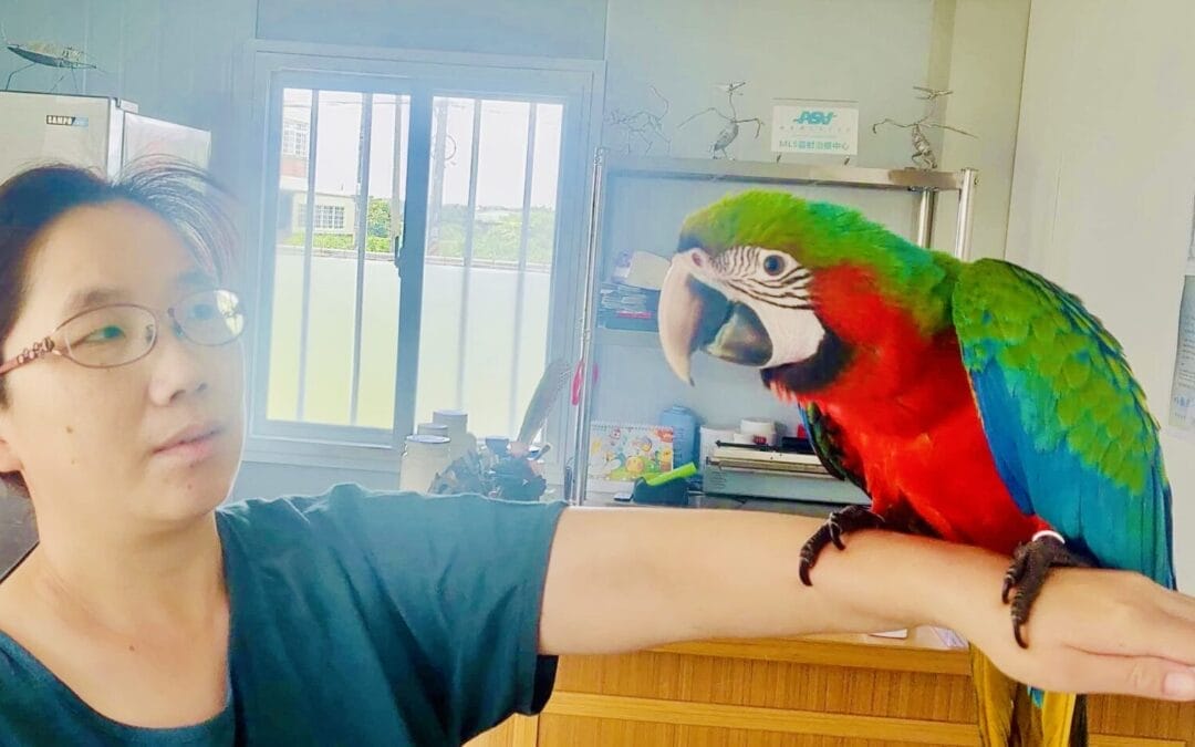 Helping Hands –  小凡 Eva Huang